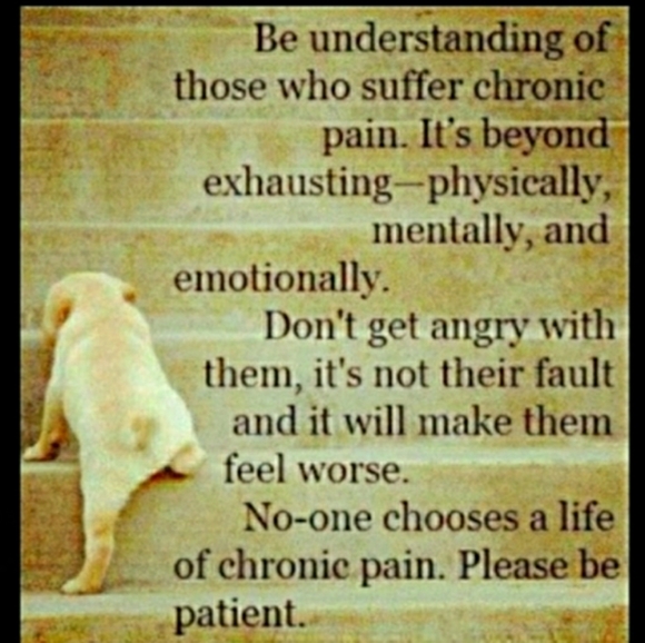 ๐ซ  Hammโs Bear for President Vintage Sz L-XL Grey UniSex - Picture 12 of 16